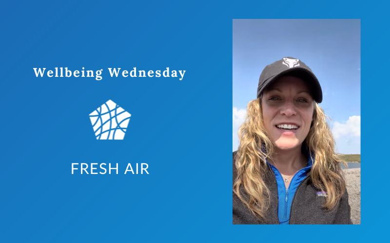 Fresh Air